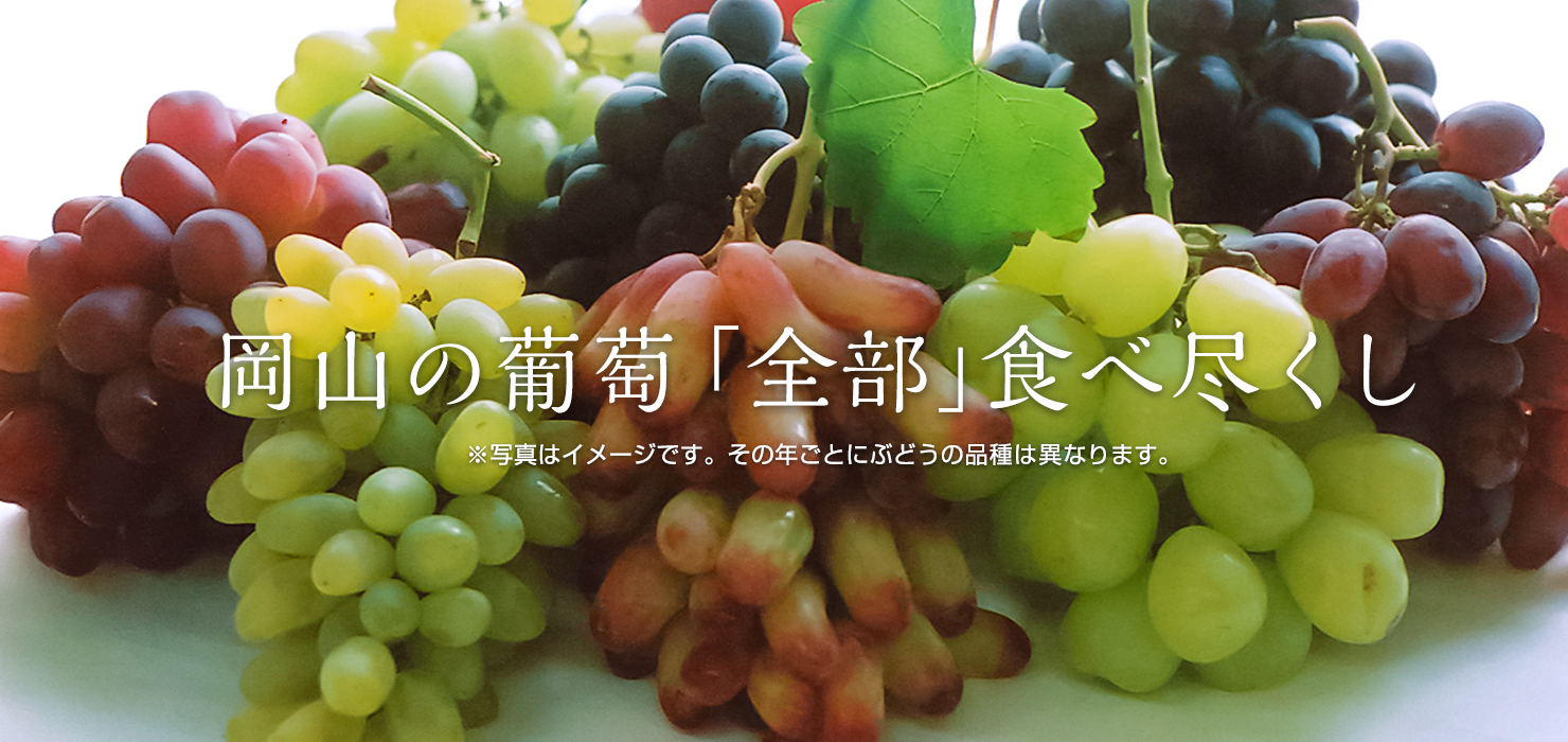 岡山のぶどう通販 岡山果物カタログ では産地直送いたします