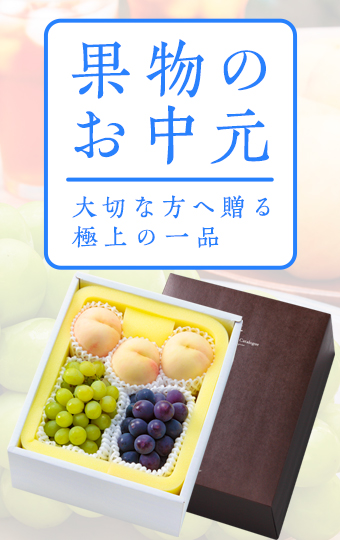 2026年サマーギフト 白桃とぶどう お中元