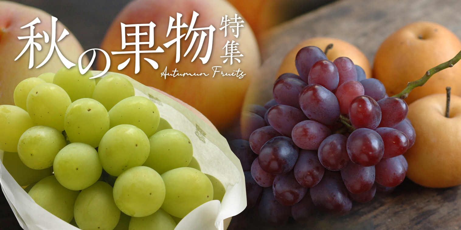 秋の果物特集_岡山県産シャインマスカット、桃太郎ぶどう、翠峰、紫苑、ピオーネ、豊水梨、黄桃、黄ららのきわみ、黄金桃