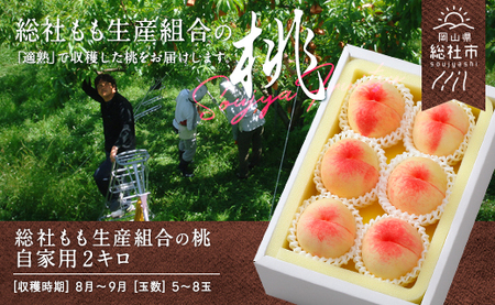 白桃「8月～9月の桃」（自家用2kg）岡山県総社もも生産組合【2024年産先行予約】