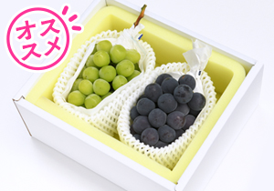 大房シャインマスカット・ピオーネ詰合せ