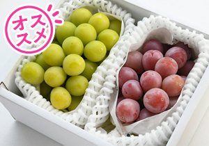 クイーンニーナ・シャインマスカット詰合せ