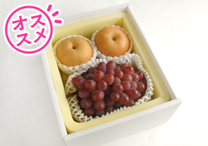 梨と紫苑詰合せ