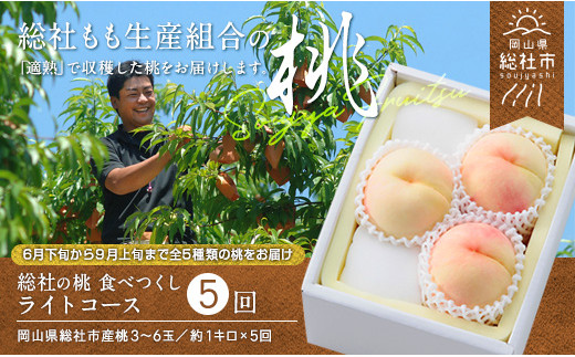 【5回定期便】白桃食べつくしライトコース【2024年産先行予約】
