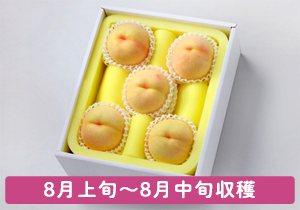 陽だまりの詩超大玉5玉