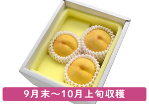 エンパイヤお土産ギフト