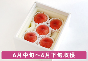 お土産ギフトはなよめ桃