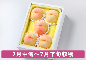 白鳳秀品5玉