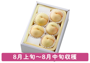 白麗秀品5玉