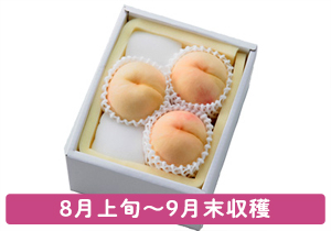 恵白お土産ギフト