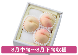 瀬戸内白桃お土産ギフト