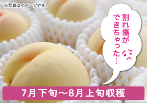 ご家庭用 清水白桃